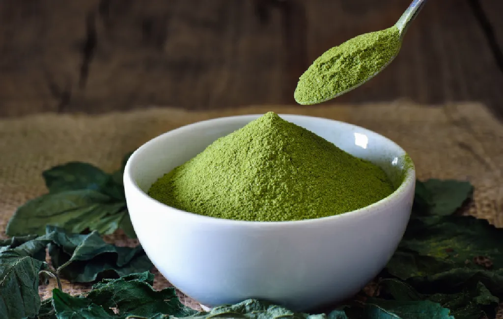 Matcha Powders Ideal for Matcha Latte